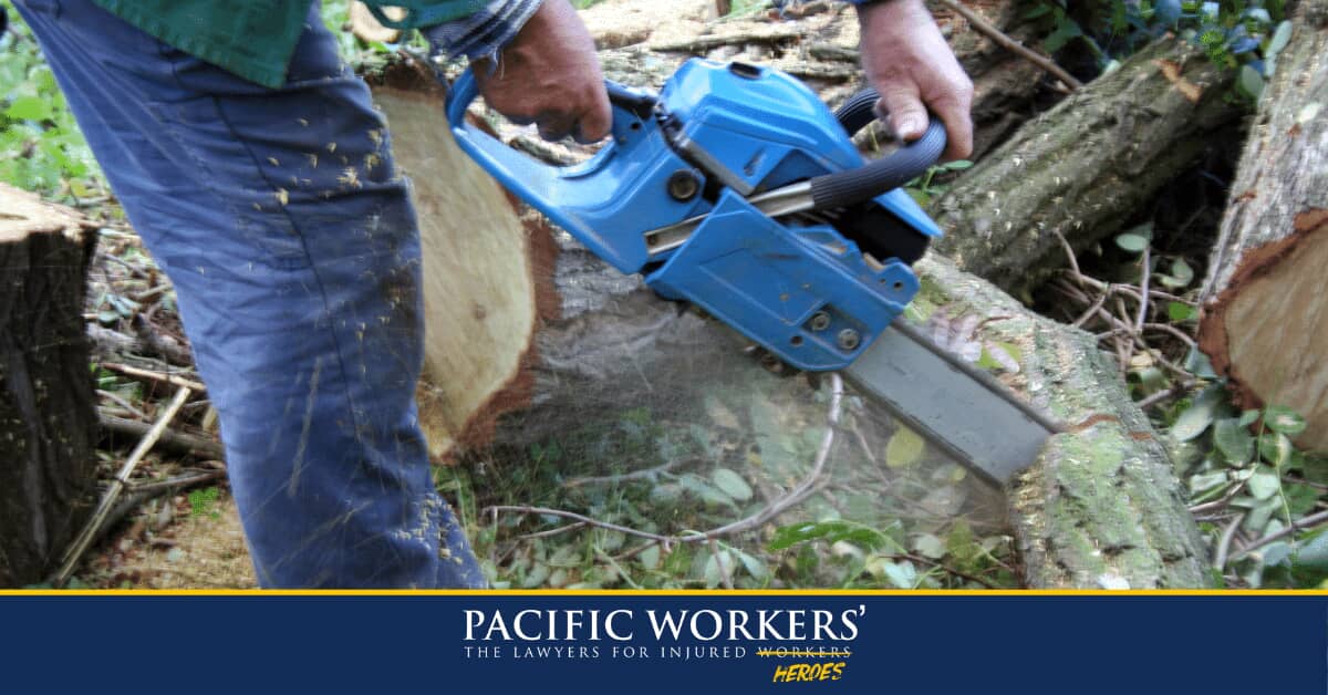 logger cutting into a tree